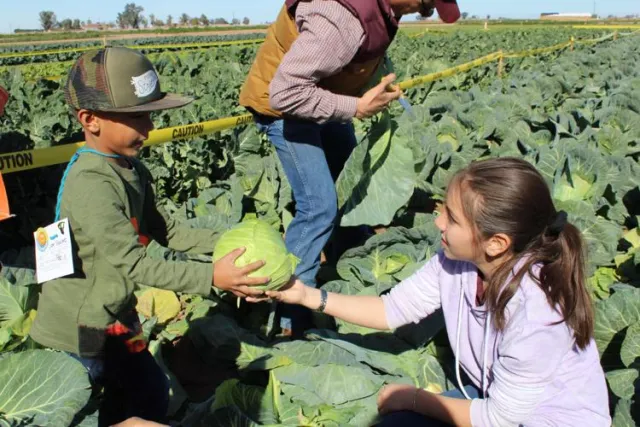 calexico ffa volunteer
